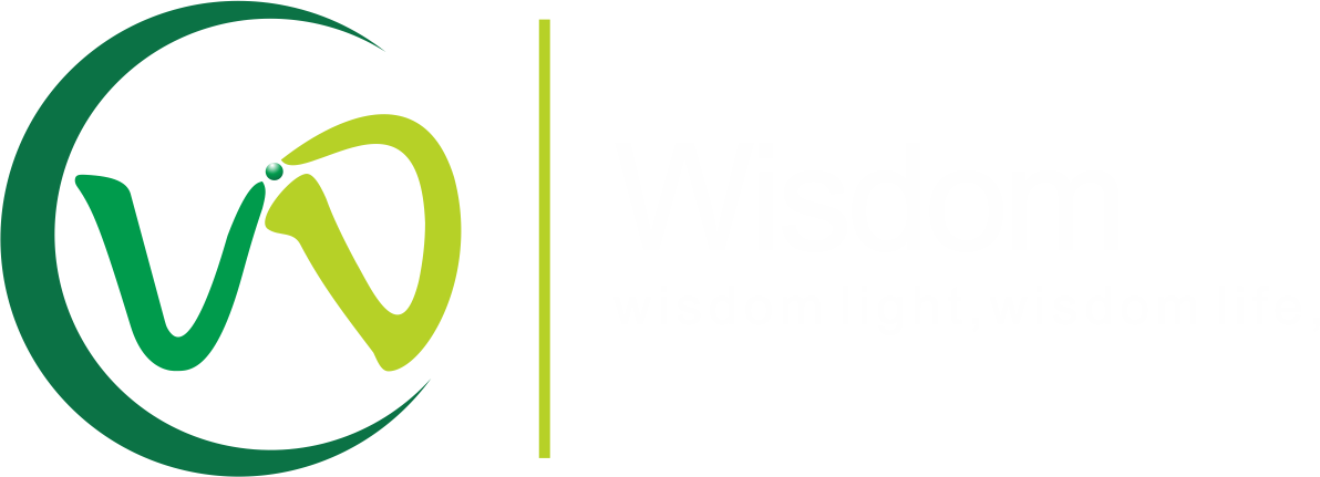 WISDOM OPTOELECTRONICS TECHNOLOGY CO., LIMITED